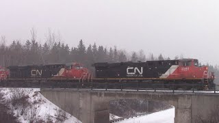 Heavy Ice Pellets! Long CN Freight Train 305 w/DPU at Berry Mills, NB
