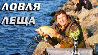 ЛОВЛЯ НА ФИДЕР ЛЕЩА. Ночная рыбалка и бешеный утренний клев.