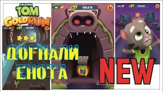Talking Tom Gold Run Говорящий Том Бег За Золотом Догнали Енота И Выбили Три Звезды