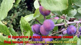 "Когда" Коренблит. Караоке. Мегапроект "Экология русского языка. Синтез слова и музыки" для инофонов
