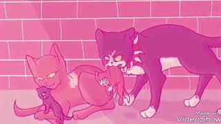 Коты воители-Кирпичная и Костяк{чит.опис.}