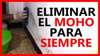 Consejos | Como quitar Moho de pared y olvidarse