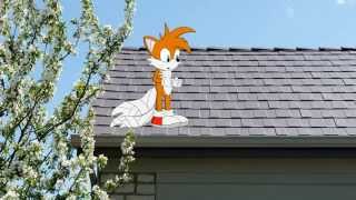 Sonic and Tails - Tails on the Roof!