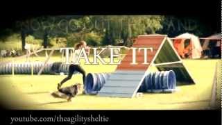 I CAN DO THIS [Agility] Inspirational video - 7