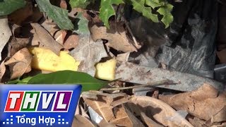 THVL | Người đưa tin 24G: Tìm được hung khí sát hại người phụ nữ bán thịt heo tại Trà Vinh