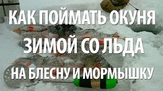 КАК ЛОВИТЬ ОКУНЯ ЗИМОЙ. ЗИМНЯЯ РЫБАЛКА на ОКУНЯ на БЛЕСНУ и МОРМЫШКУ с НОРМУНДОМ ГРАБОВСКИСОМ