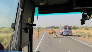India - Rajasthan - From Mandawa to Bikaner - On the road