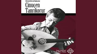 Ne Sünbülden Nasîb Aldım, Ne Bir Gülden, Ne Gülşenden (feat. İstanbul Devlet Türk...