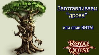 Royal Quest - Сливаем ЭНТА или ПОРА РУБИТЬ ДРОВА!!!