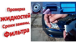 Проверка жидкостей, сроки замены, фильтра