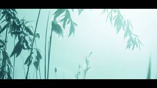 Corvus Corax feat. Arndis Halla: Hugin & Munin (L'Art Mystique Remix)