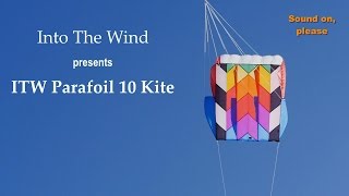Into The Wind Parafoil 10 Kite