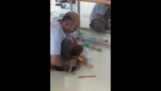 Palet Montessori Anaokulu 559_Tur
