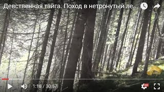 Девственная тайга. Поход в нетронутый лес. Рыбалка, Охота, Тайга, Сибирь, Грибы