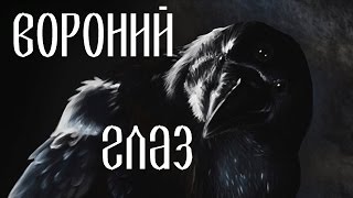 Вороний глаз / Paris (plant)