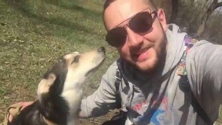 Приют для животных "Ковчег Милосердия"/ Харьков
