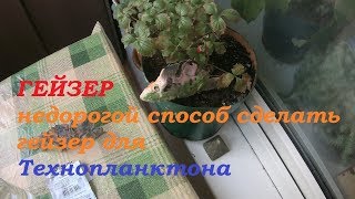 рыбалка на толстолобика гейзер для технопланктона бюджетный вариант