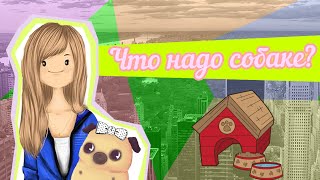 Что надо купить до появления щенка в доме?