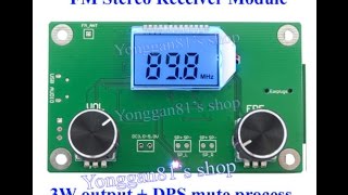 Ebay DSP & PLL Digital Stereo FM Radio Module  + FM Transmitter