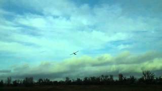 video-2011-01-14-13-00-36