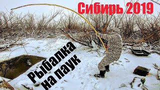 Тонны рыбы в НАНО ручье ЧАСТЬ 2! Рыбалка на паук зимой .Подводные съемки рыбалки .Рыбалка зимой 2020