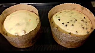 Panettone | Cozonac Italian | Prajituri cu Kammellia