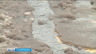 МЧС Башкирии предупреждает о сильном мокром снеге