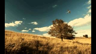 Wildabeast - Bullhead ( Original Mix w/ free download )
