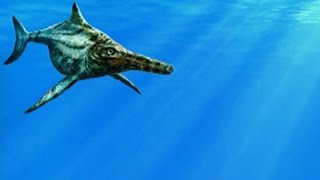 Тайны глубин океана раскроет историко-краеведческий музей Белореченска