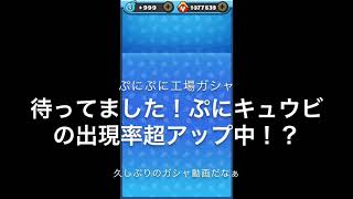 ぷにぷに ぷにぷに工場ガシャぷにキュウビ出現率超アップ中！？【妖怪ウォッチぷにぷに】Yo-kai  Watch