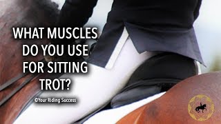 What Leg Muscles Do You Use For Sitting Trot? - Dressage Mastery TV Ep220