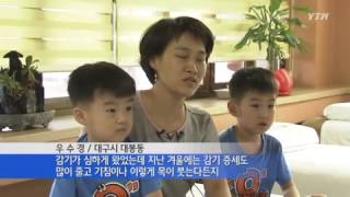 지독한 '겨울감기'…한여름에 미리 예방! / YTN