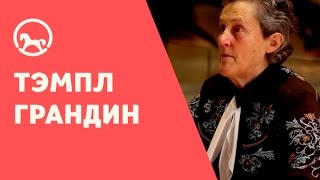 Тэмпл Грандин: Миру нужны разные мыслители Монтессори (2014)