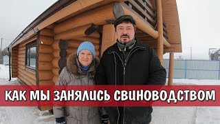 ДОМАШНЕЕ СОДЕРЖАНИЕ СВИНЕЙ или КАК МЫ ЗАНЯЛИСЬ СВИНОВОДСТВОМ