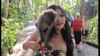 10 Hewan yang suka masturbasi / Onani