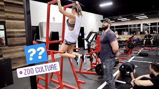 Training LaurDIY... HOW MANY PULL UPS?