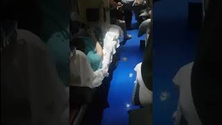 Мужик обоссал вагон поезда не вставая со спальной полки. ЖЕСТЬ!