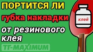 Правда ли что губка накладки портится от резинового клея, ответ на вопрос