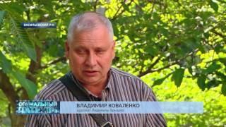Шокирующие штрафы