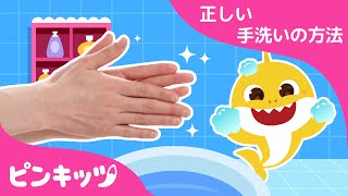 正しい手洗いの方法 | 最強の６スッテプの手洗い | 手洗いのうた | 子供の手洗い | ピンキッツ童謡