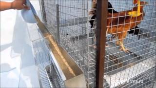 Клеточная батарея для кур несушек на 45 голов «золушка»