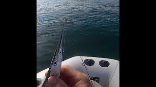 ловля саргана в Чёрном море, блесна Песчанка-93 из нержавеющей стали.