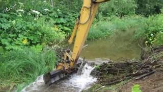 Разрушение дамбы. Cat 312C. Destruction of beaver dams.