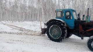 Мтз 52 и мтз 50 трелевка леса и погрузка...