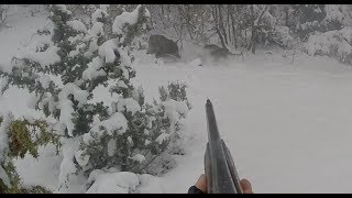 Harika bir Domuz Avı Kastamonu Perfect Action wild boar hunting full aksiyon heyecan sayısız domuz