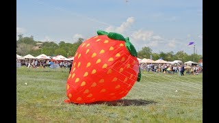 Международный Фестиваль воздушных змеев и кайтов .Tryhutty International Kite Festival 2019