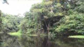 Bacia Amazônica