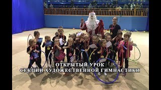Открытый урок секции художественной гимнастики
