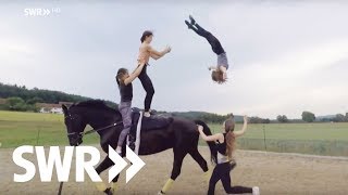 Kein Tag ohne Pferde | SWR Mensch Leute