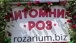 Питомник роз Полины Козловой -rozarium.biz